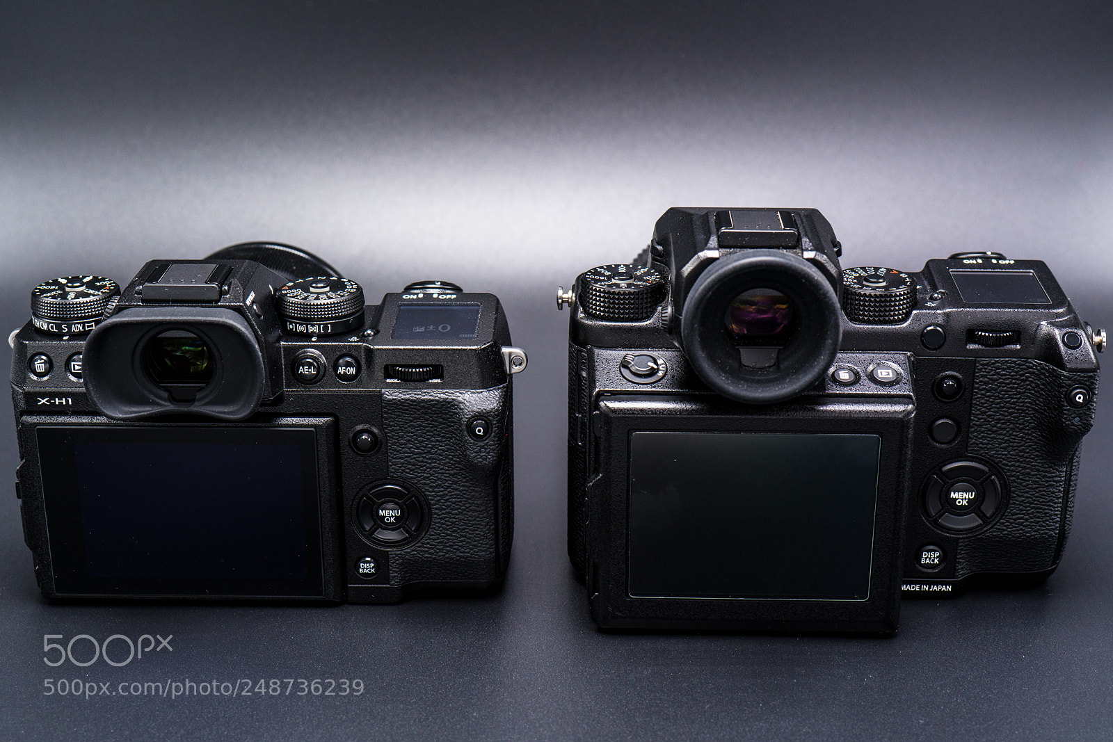 Sony a7R III sample photo. Dsc photography