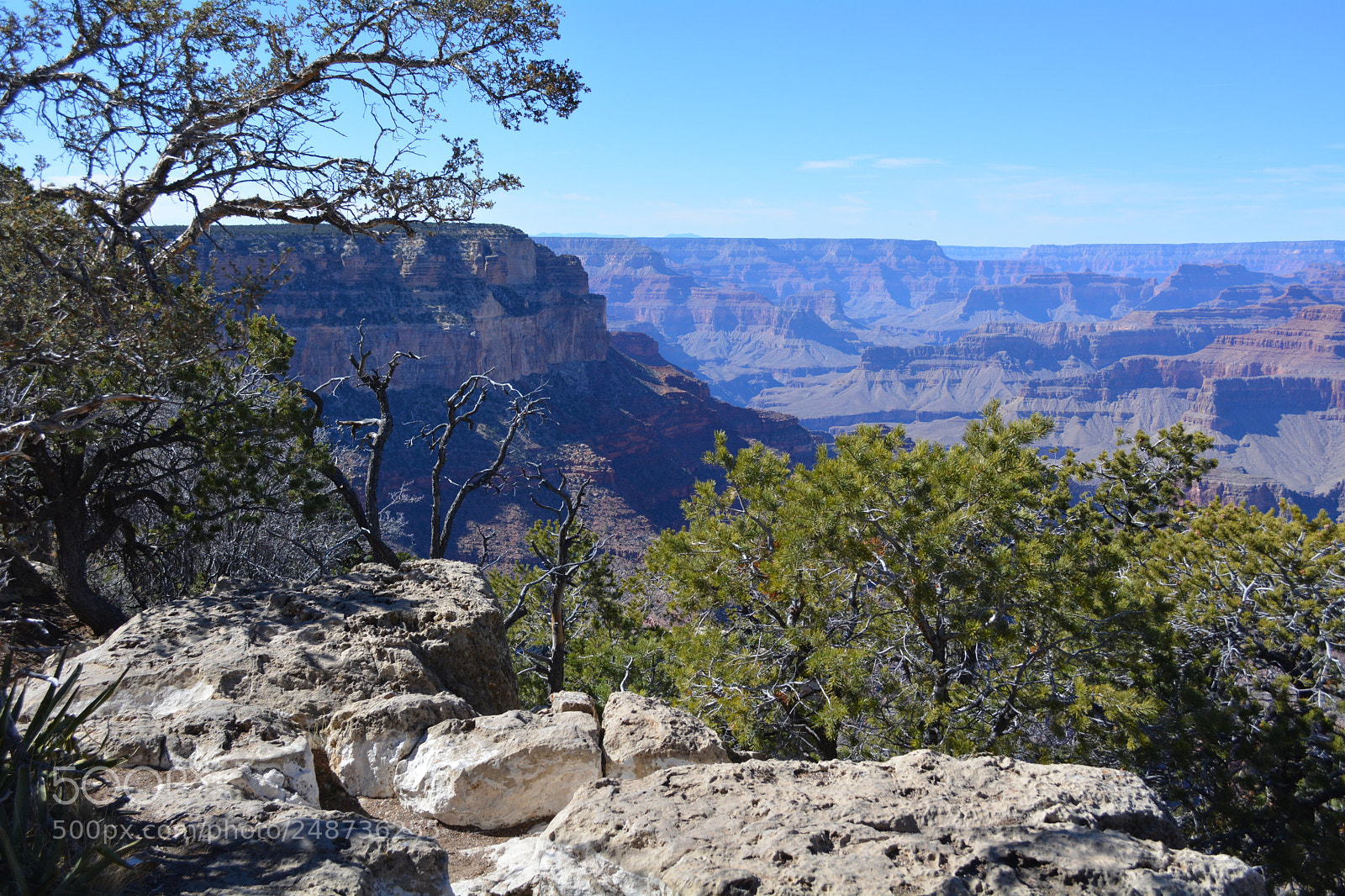 Nikon D5200 sample photo. Grand canyon vista photography