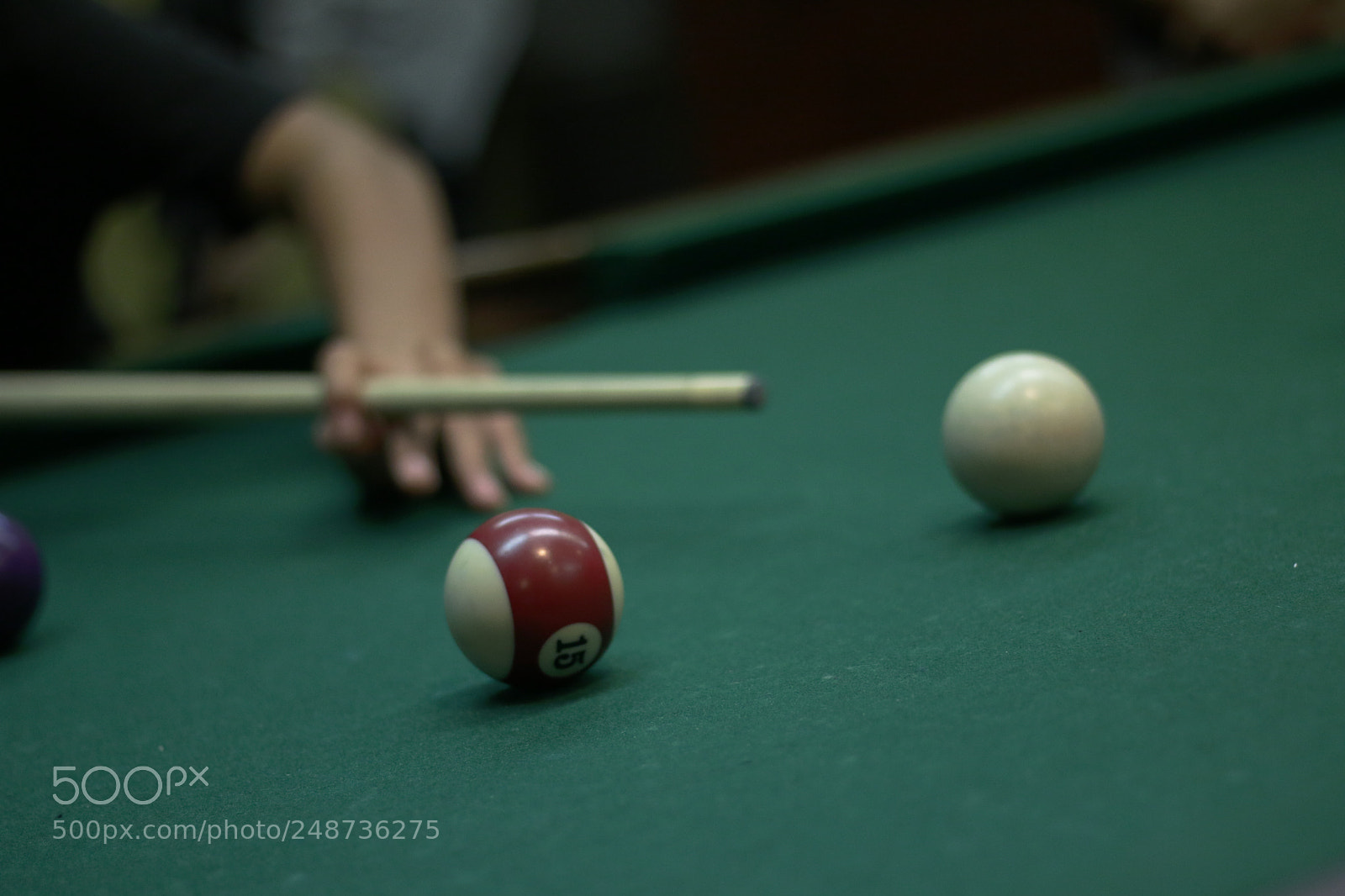 Canon EOS 70D + Canon EF 50mm F1.8 STM sample photo. Img photography