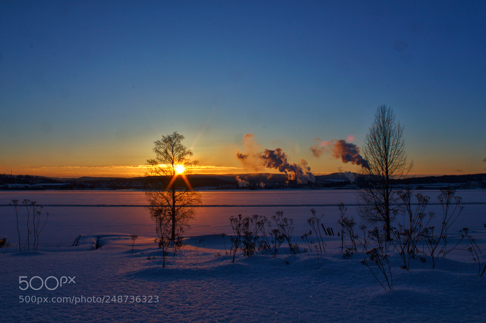 Canon EOS 550D (EOS Rebel T2i / EOS Kiss X4) sample photo. Evening in winterland iii photography