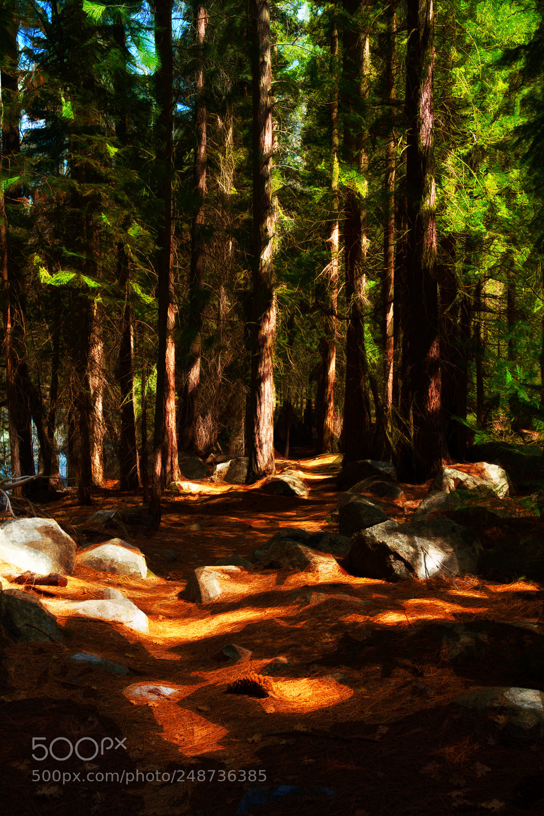 Canon EOS 5D sample photo. Kings canyon photography