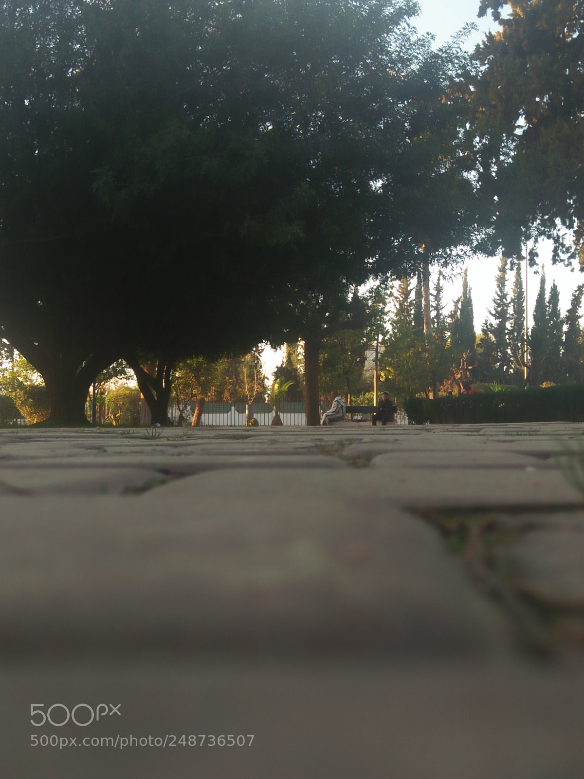 OPPO A37fw-International sample photo. Untitled photography