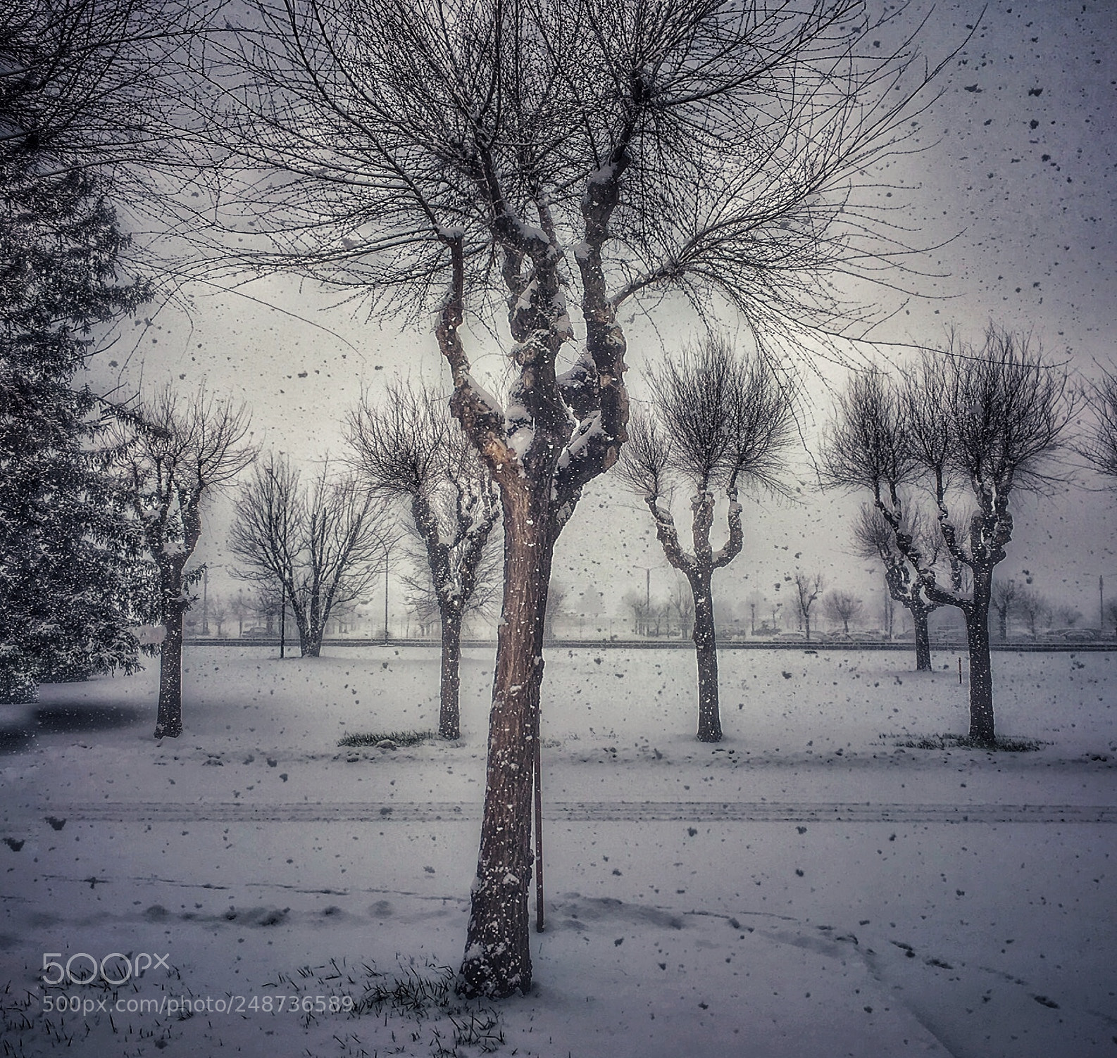 Apple iPhone 6s sample photo. Nevicata ❄️❄️❄️ photography