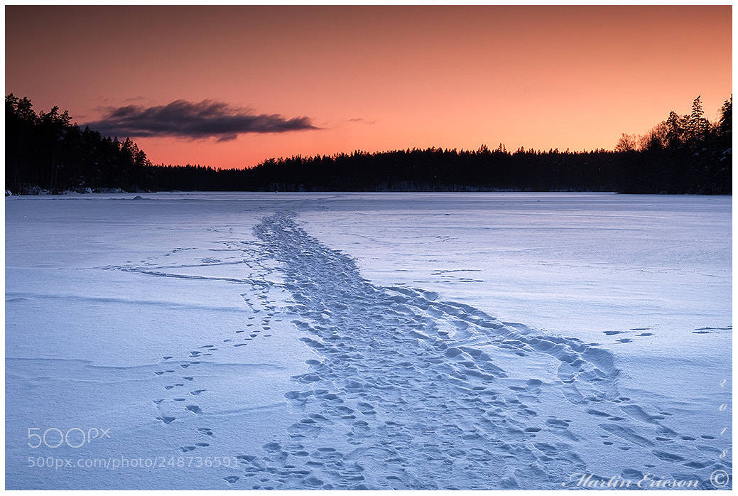 Fujifilm X-T20 sample photo. Cold trail over pickesj photography