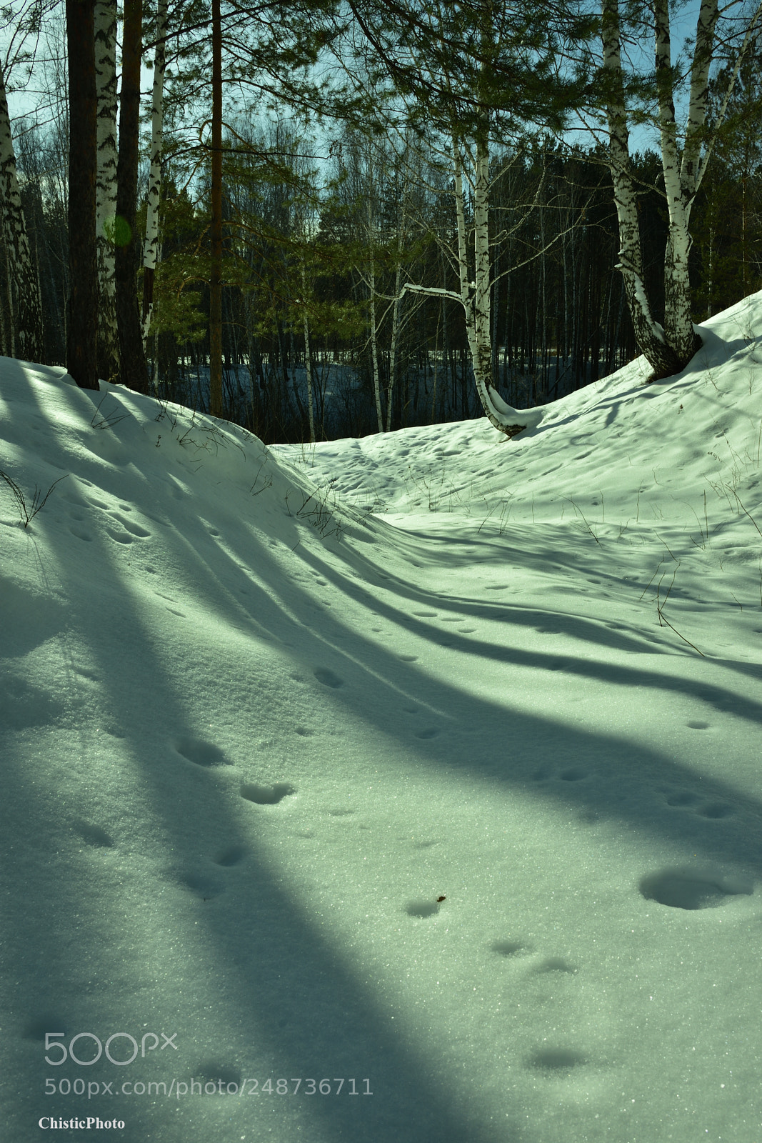 Nikon D7200 sample photo. Spring sun photography