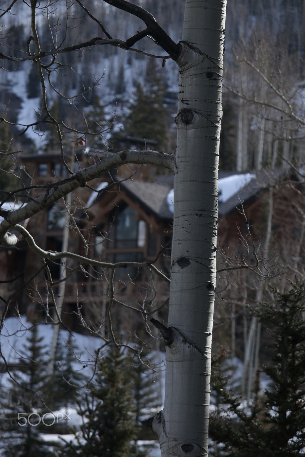 Canon EF-S 55-250mm F4-5.6 IS STM sample photo. Img photography