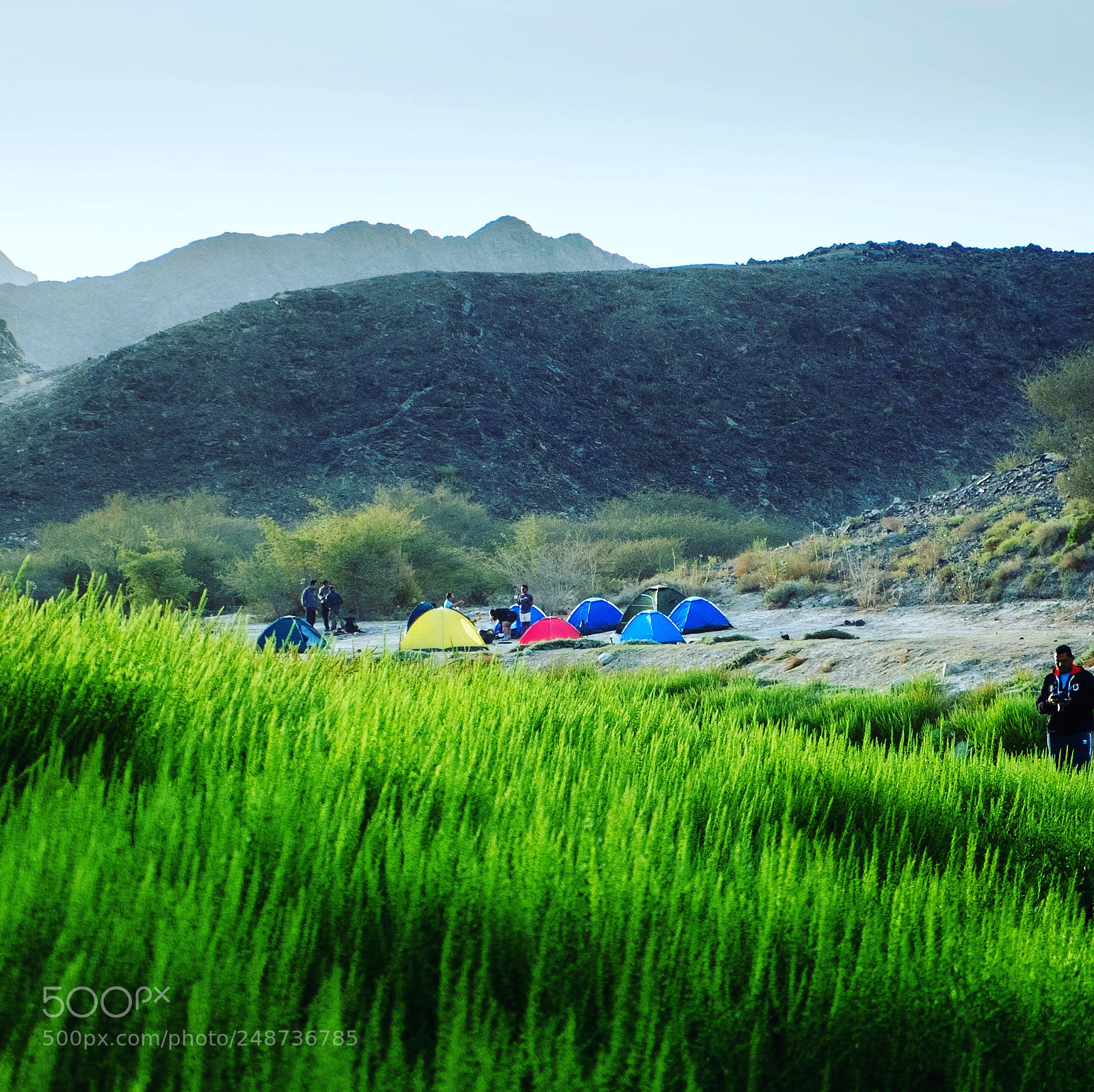 Fujifilm X-E1 sample photo. Showka greens photography