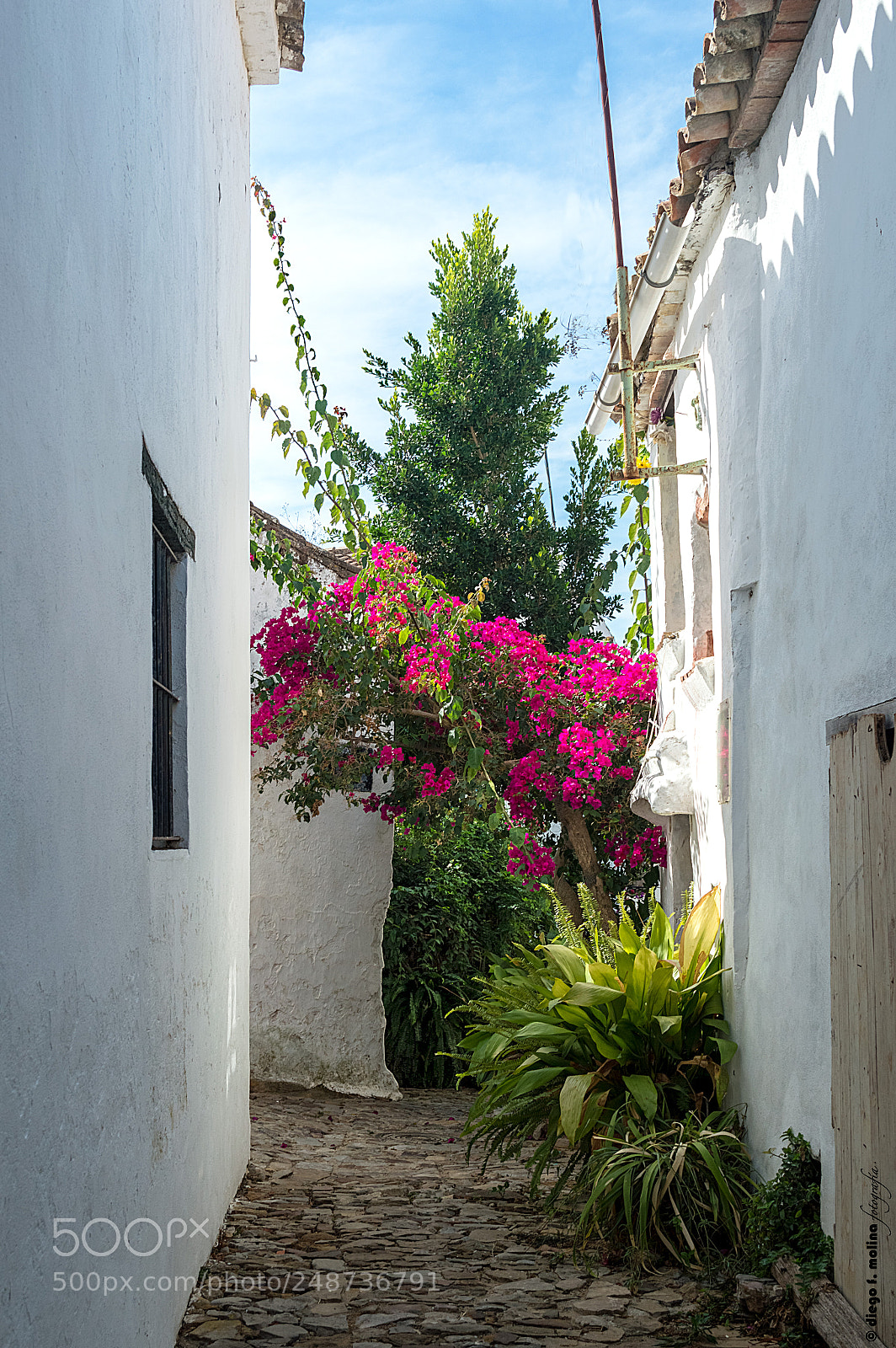 Nikon D3200 sample photo. Castellar-14 photography
