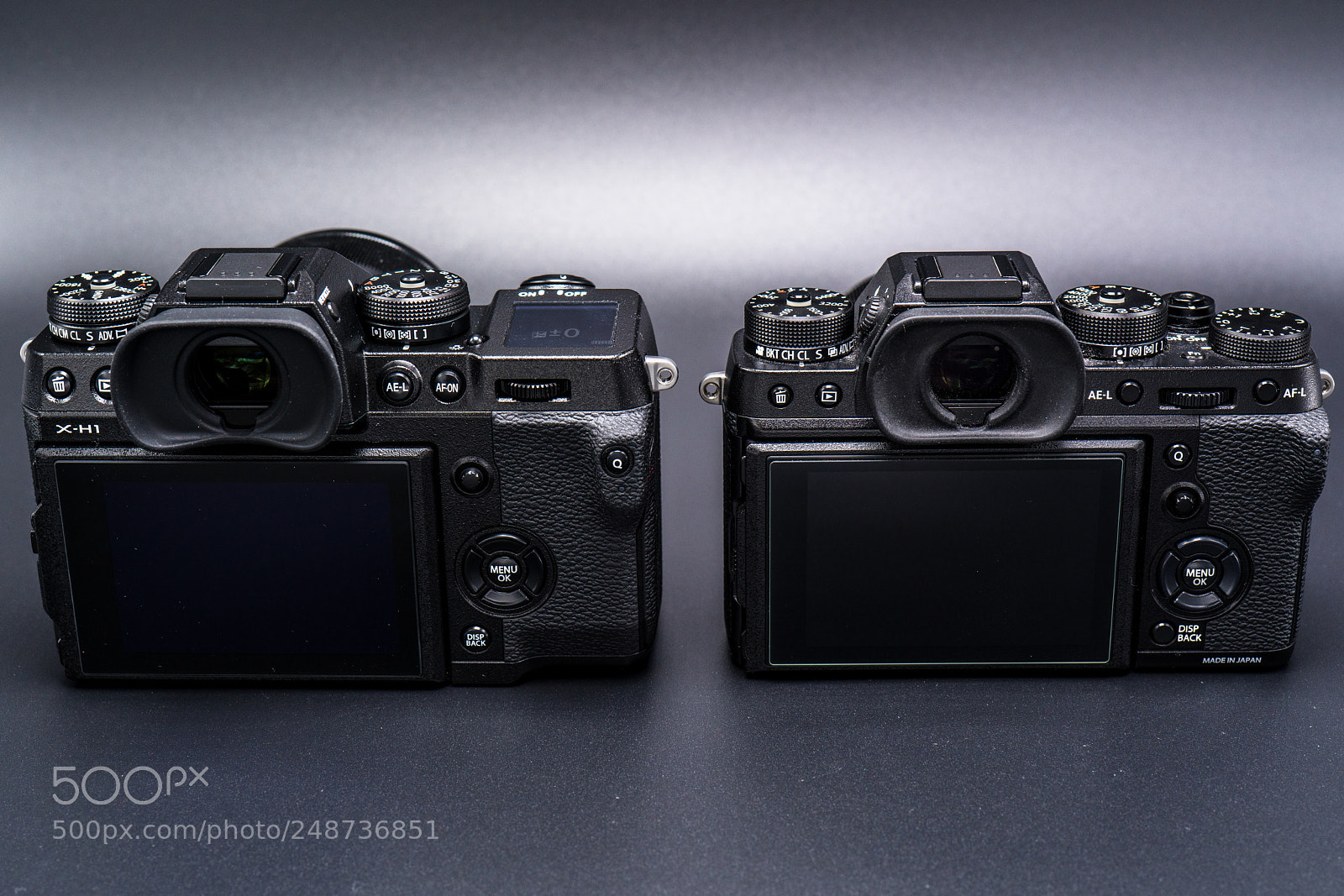 Sony a7R III sample photo. Dsc photography