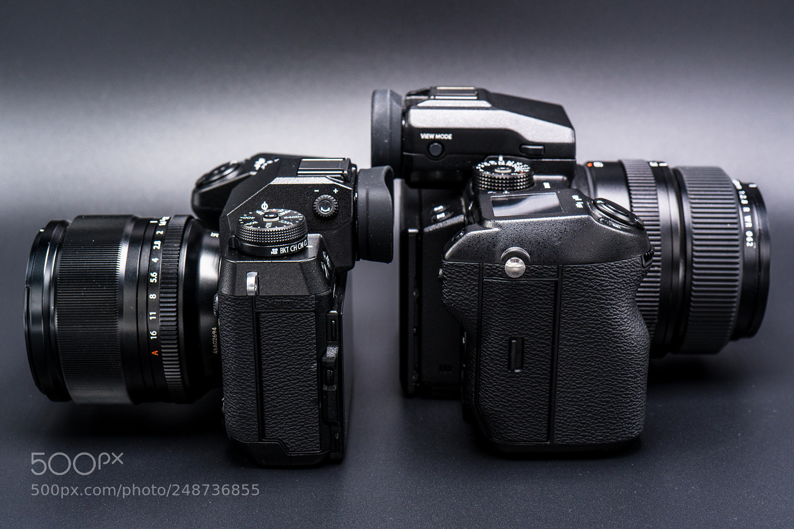 Sony a7R III sample photo. Dsc photography