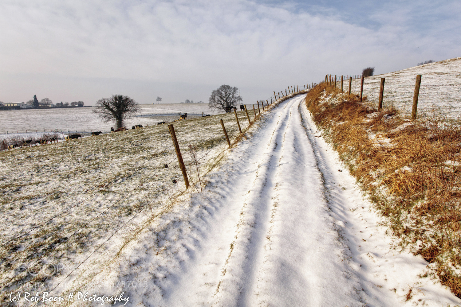 Canon EOS 5DS sample photo. Last traces of winter photography