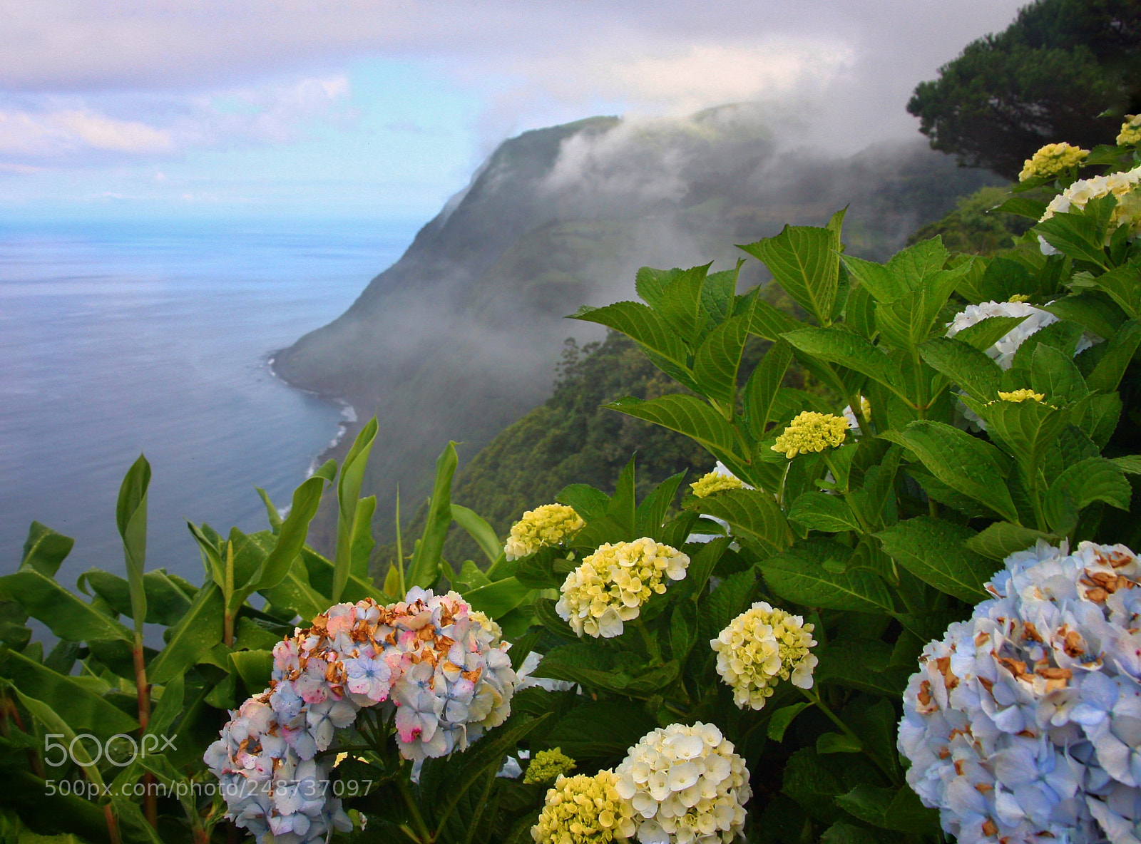 Canon EOS 450D (EOS Rebel XSi / EOS Kiss X2) sample photo. "azores" photography