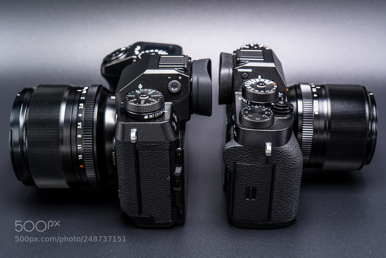 Sony a7R III sample photo. Dsc photography