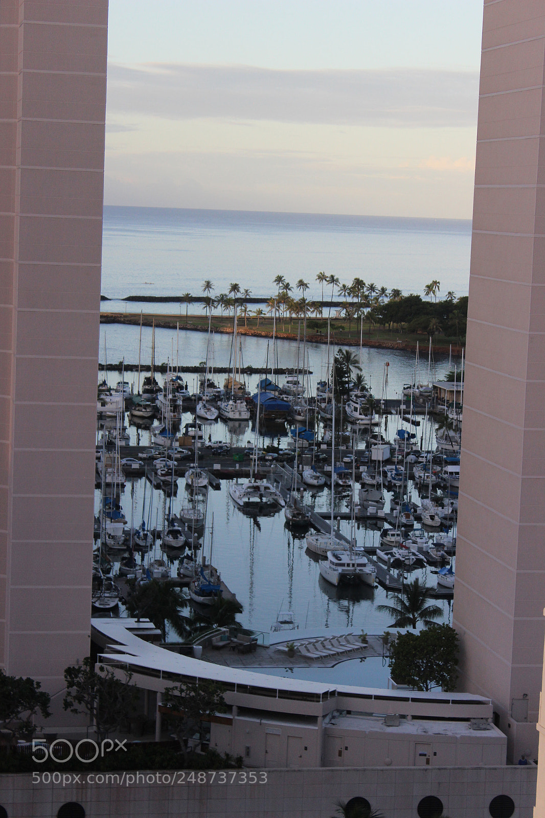 Canon EOS 600D (Rebel EOS T3i / EOS Kiss X5) sample photo. Img photography