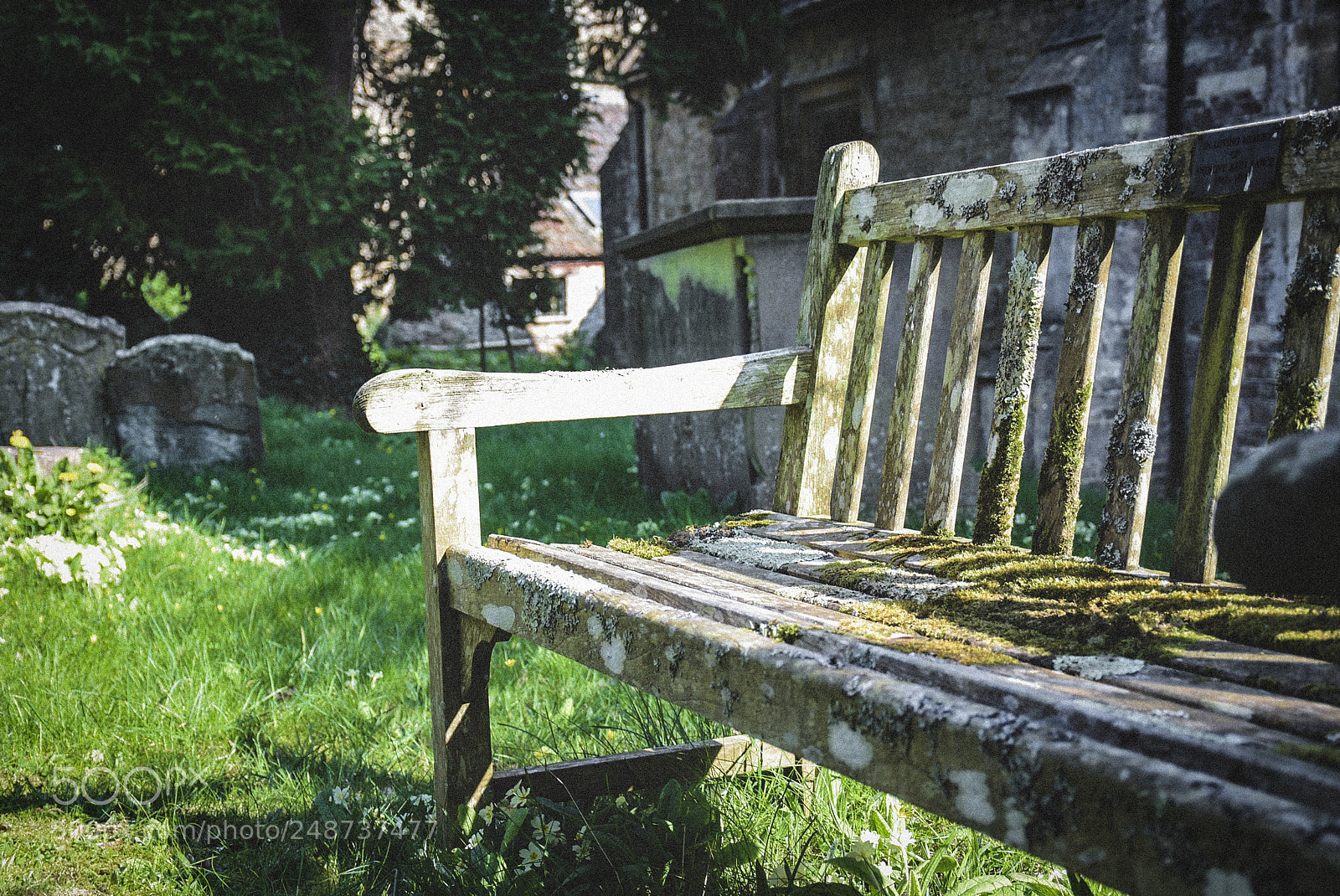 Nikon D7200 sample photo. Rotten seat photography