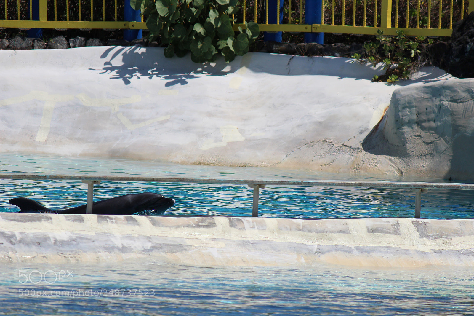 Canon EOS 600D (Rebel EOS T3i / EOS Kiss X5) sample photo. Img photography