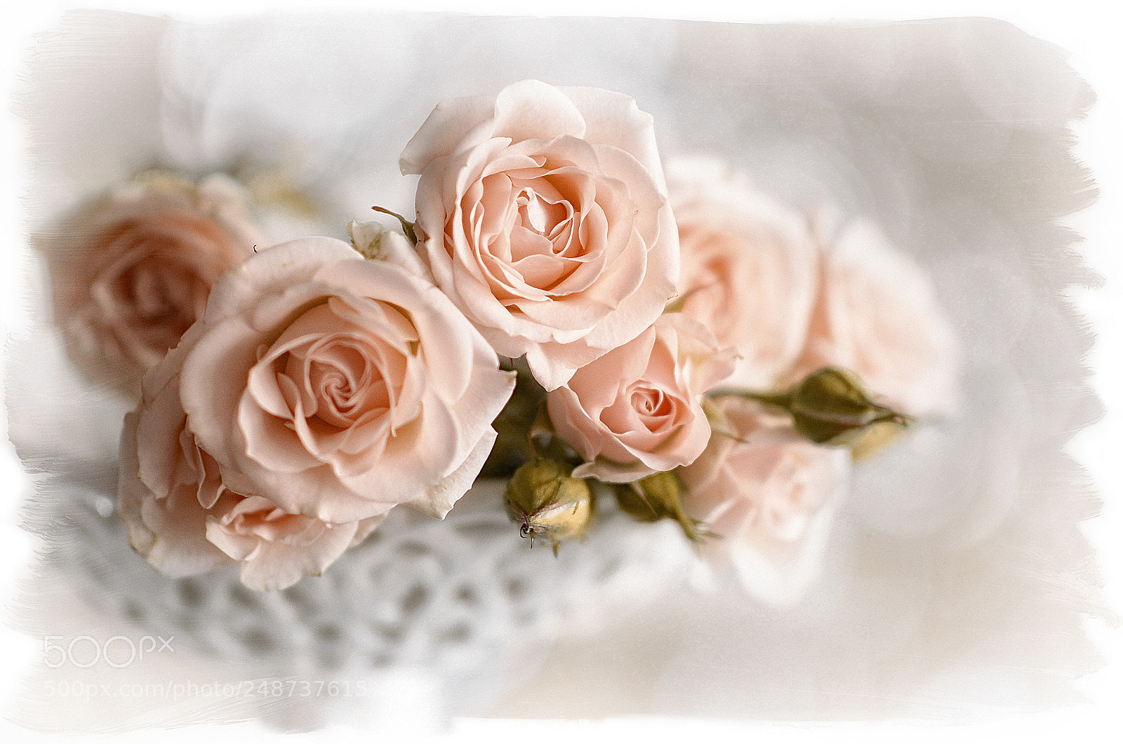 Nikon D610 sample photo. My today's bouquet photography