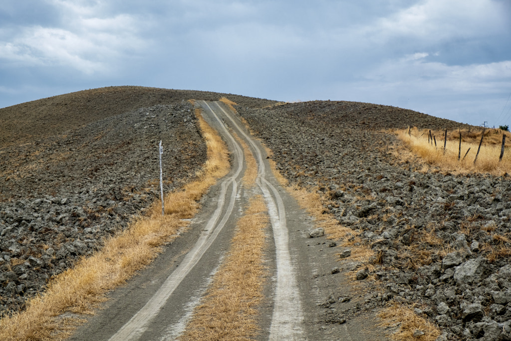 Tuscany: the road to Torre a Castello by Claudio G. Colombo on 500px.com