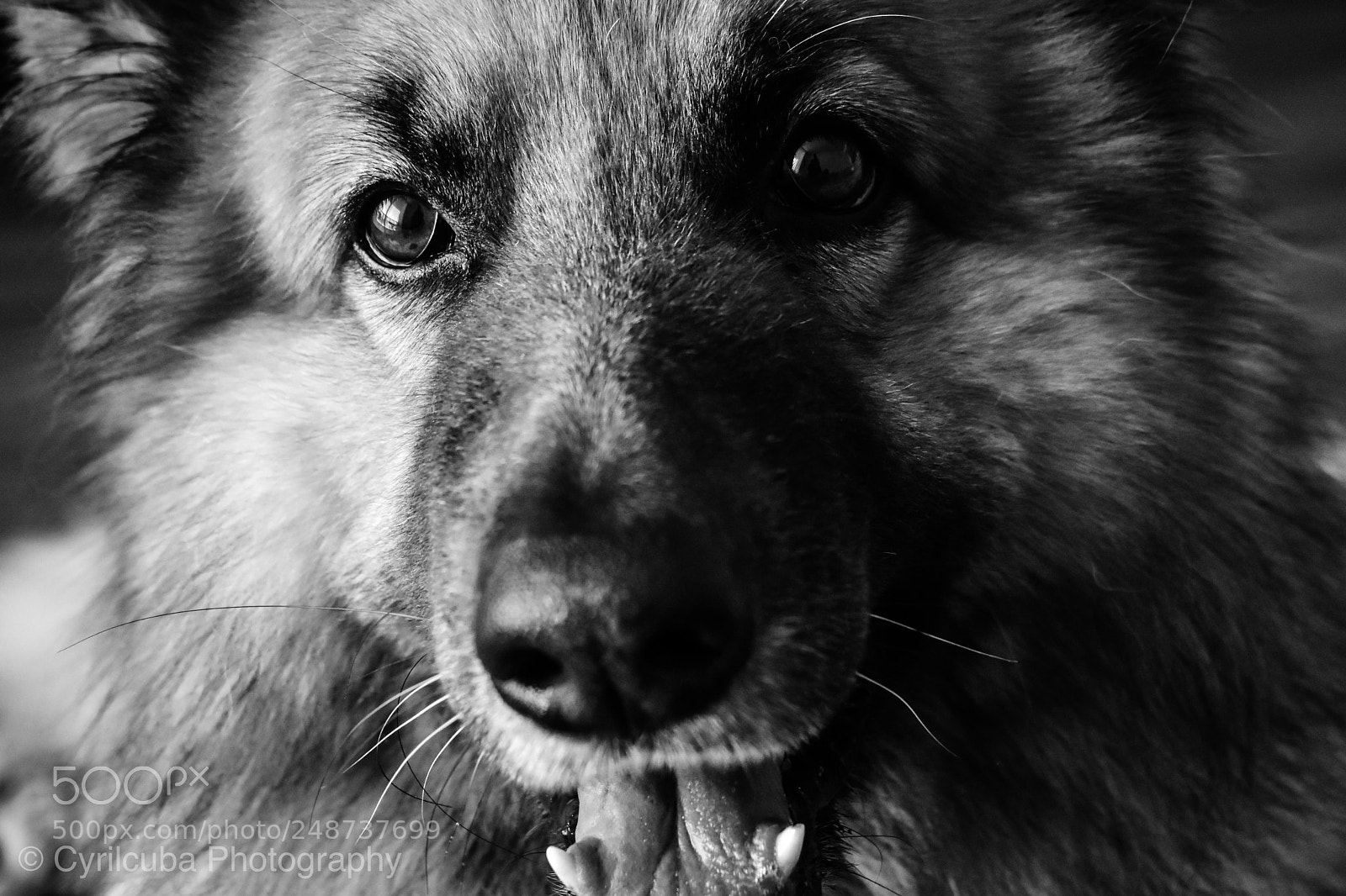 Nikon D5500 sample photo. My baby photography
