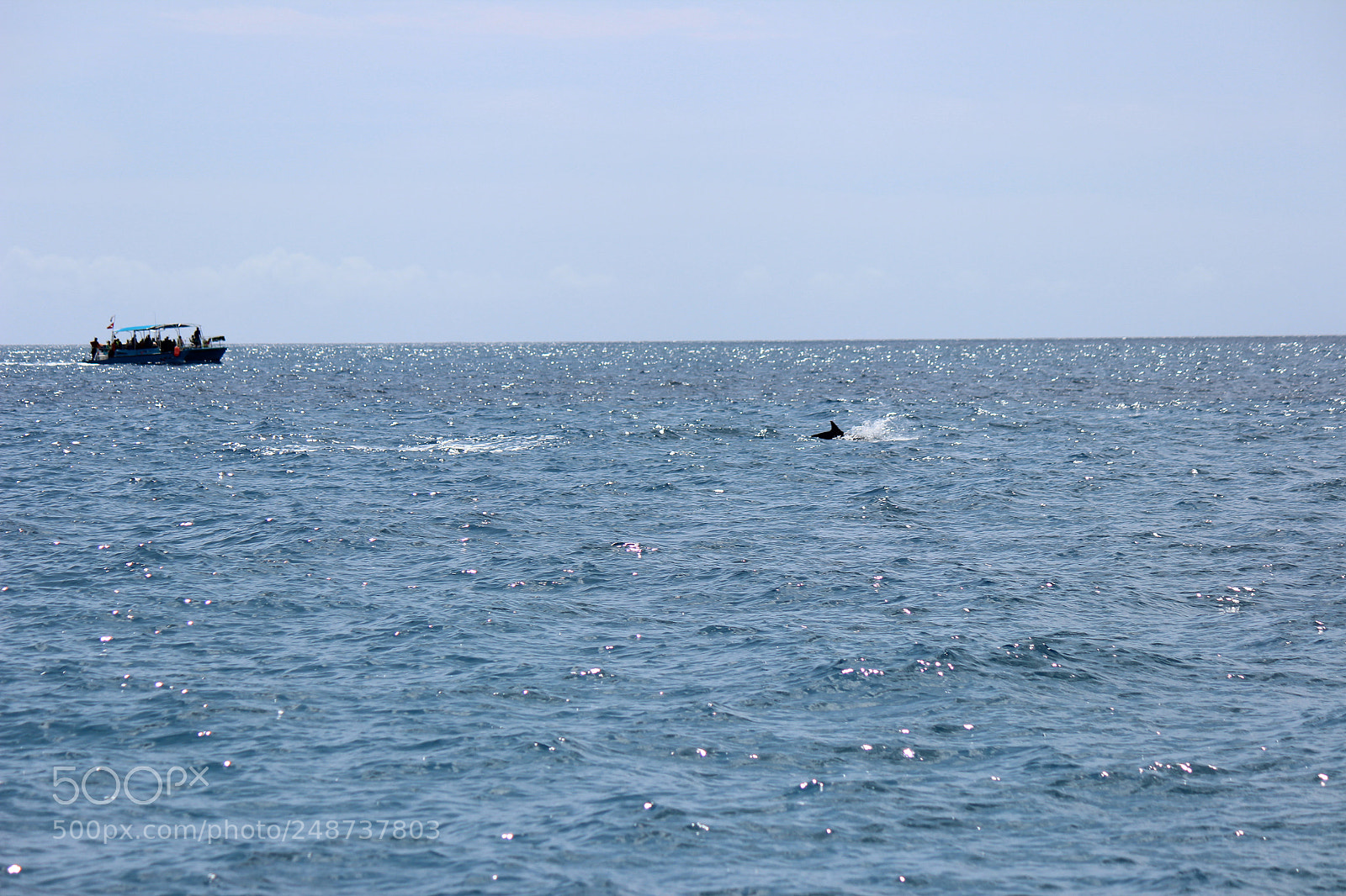 Canon EOS 600D (Rebel EOS T3i / EOS Kiss X5) sample photo. Img photography