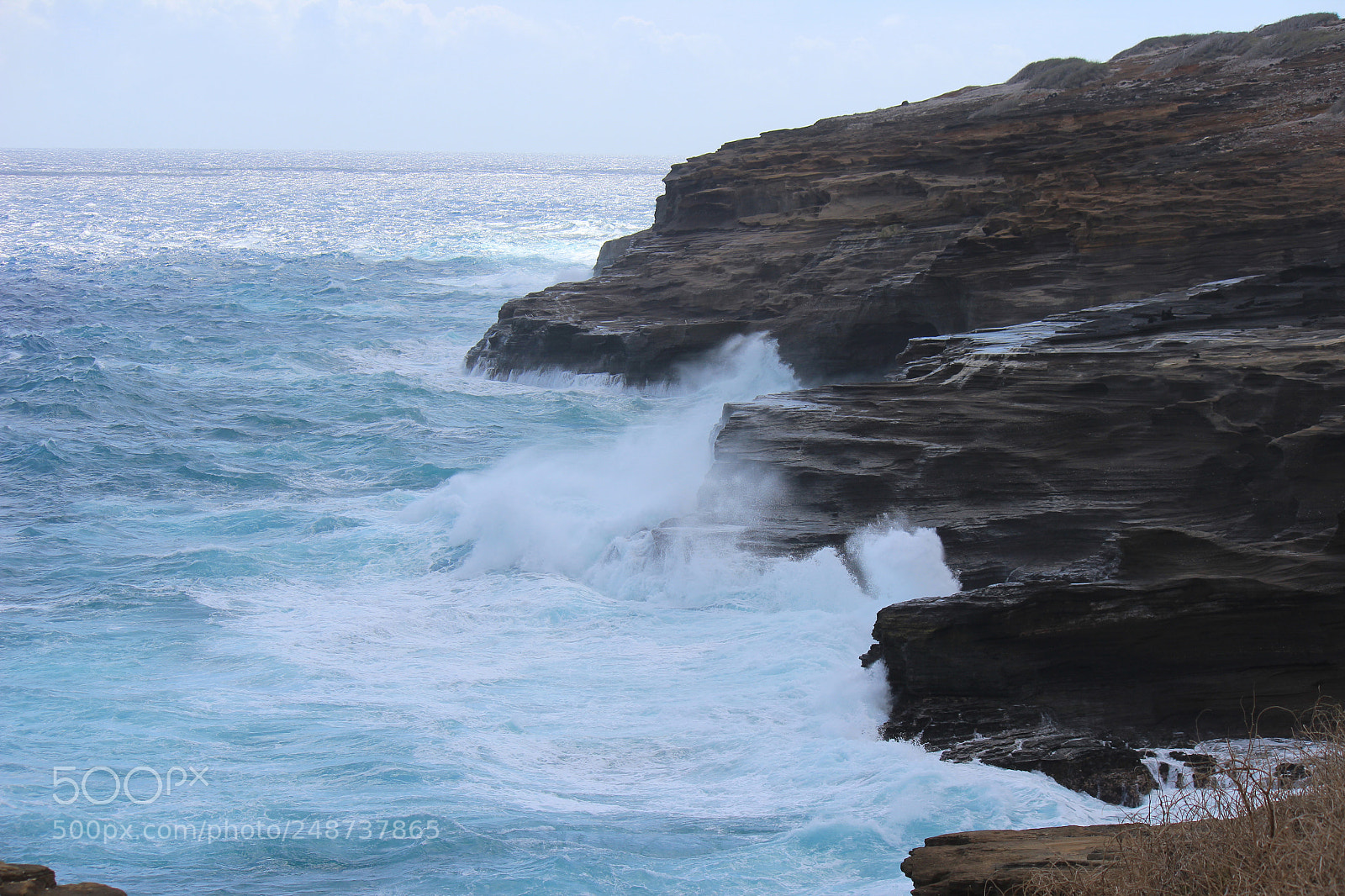 Canon EOS 600D (Rebel EOS T3i / EOS Kiss X5) sample photo. Img photography