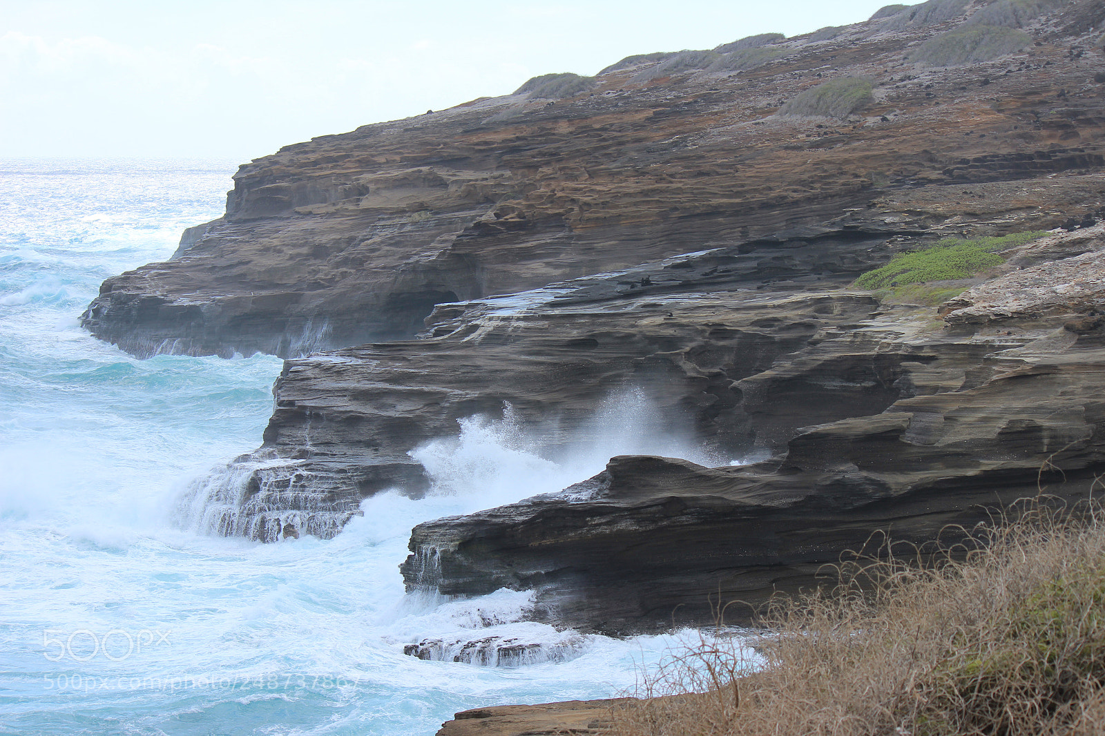 Canon EOS 600D (Rebel EOS T3i / EOS Kiss X5) sample photo. Img photography