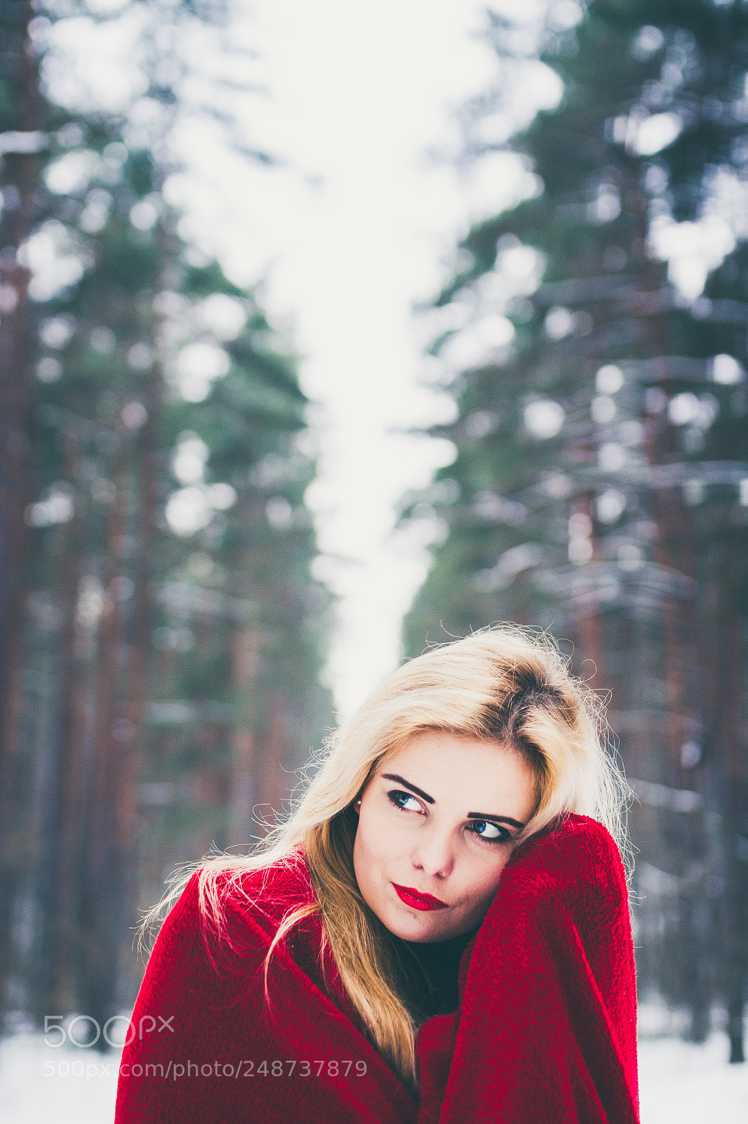 Canon EOS 650D (EOS Rebel T4i / EOS Kiss X6i) sample photo. Little red riding hood photography