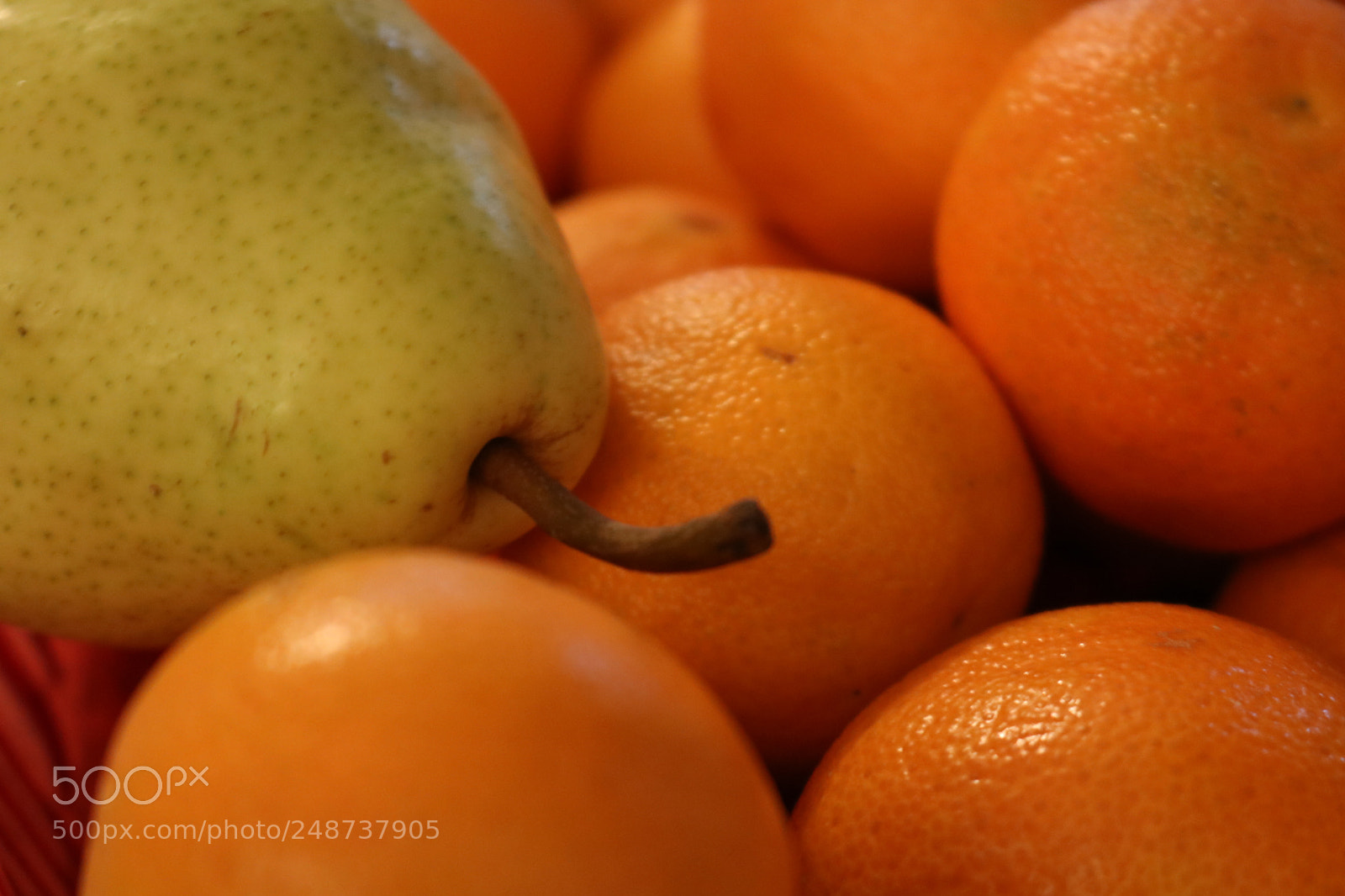 Canon EOS 750D (EOS Rebel T6i / EOS Kiss X8i) sample photo. Orange photography
