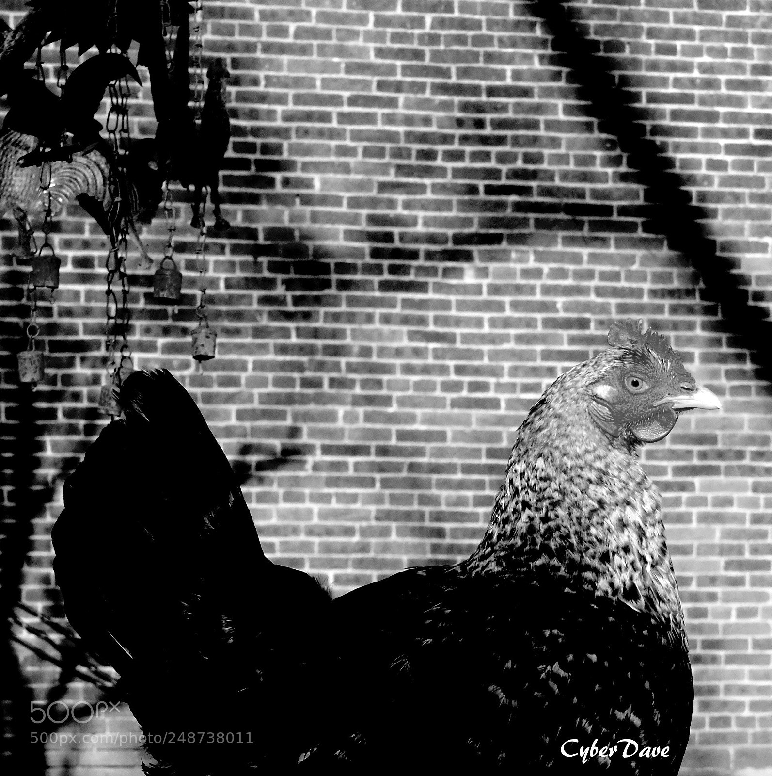 Fujifilm X-T10 sample photo. Brick and chick photography