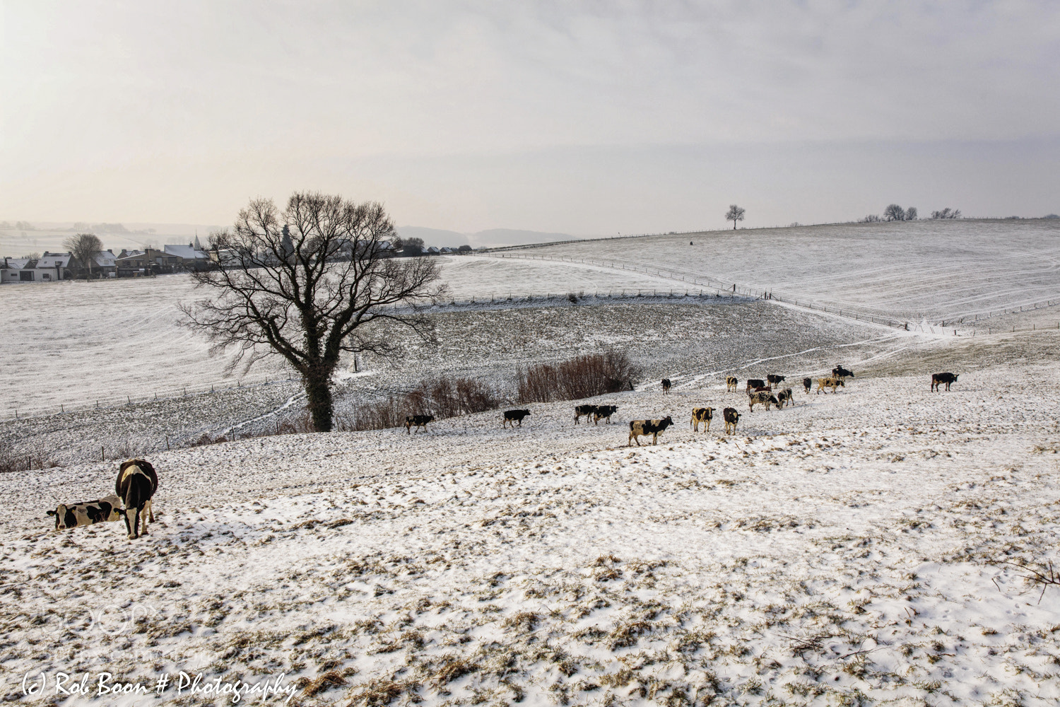 Canon EOS 5DS sample photo. Last traces of winter photography