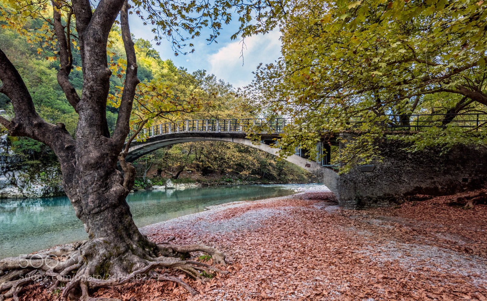 Nikon D810 sample photo. Autumn in greece photography