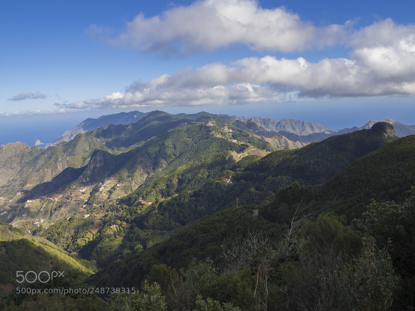 Olympus OM-D E-M10 sample photo. View point amogoje, green photography