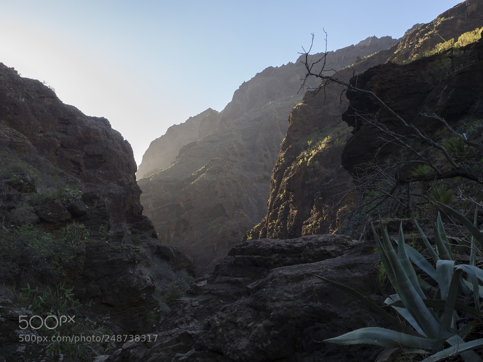 Olympus OM-D E-M10 sample photo. Canary island, tenerife, canyon photography
