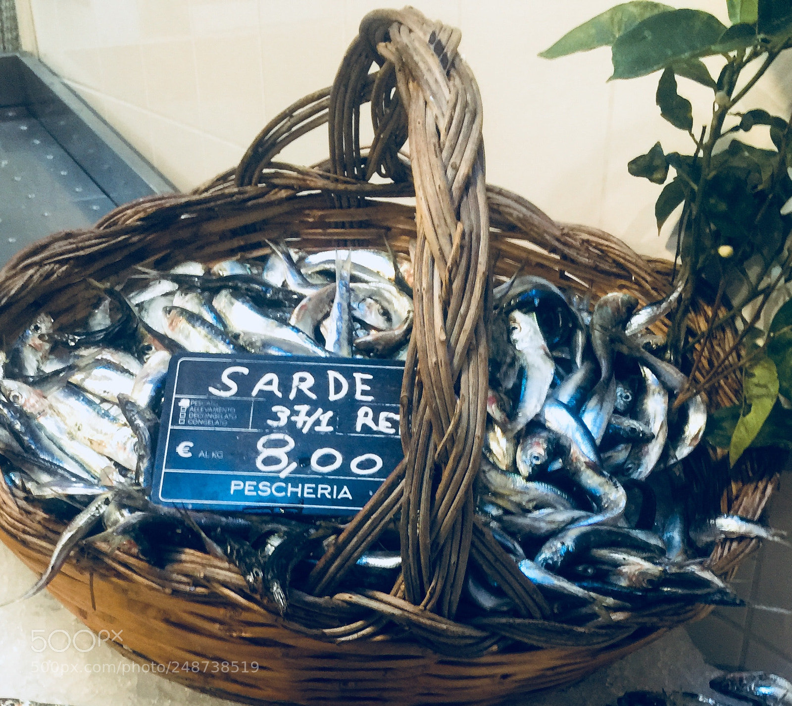 Apple iPhone 6 Plus sample photo. Sarde siciliane photography