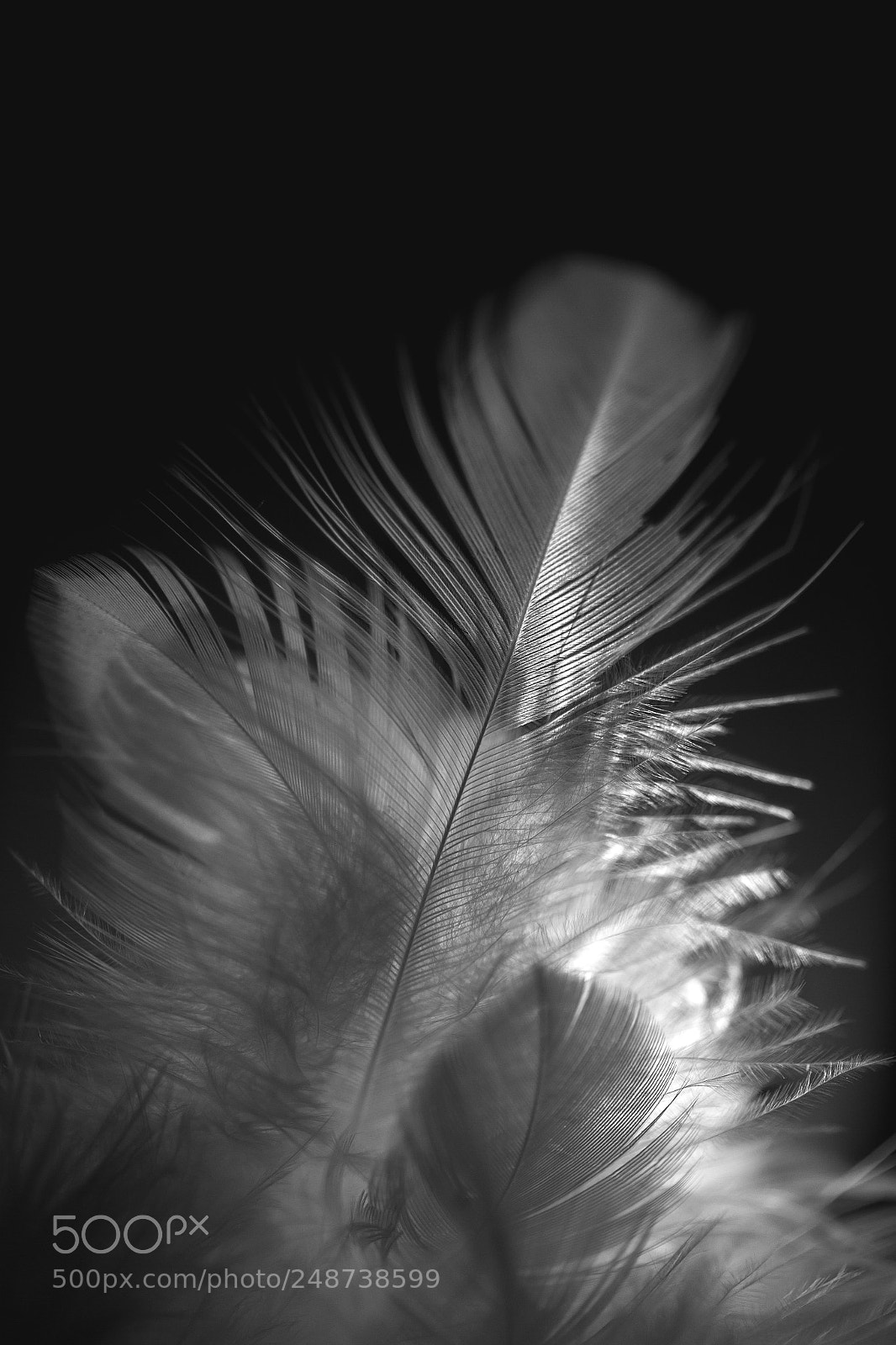 Canon EOS 7D sample photo. Heavy light photography