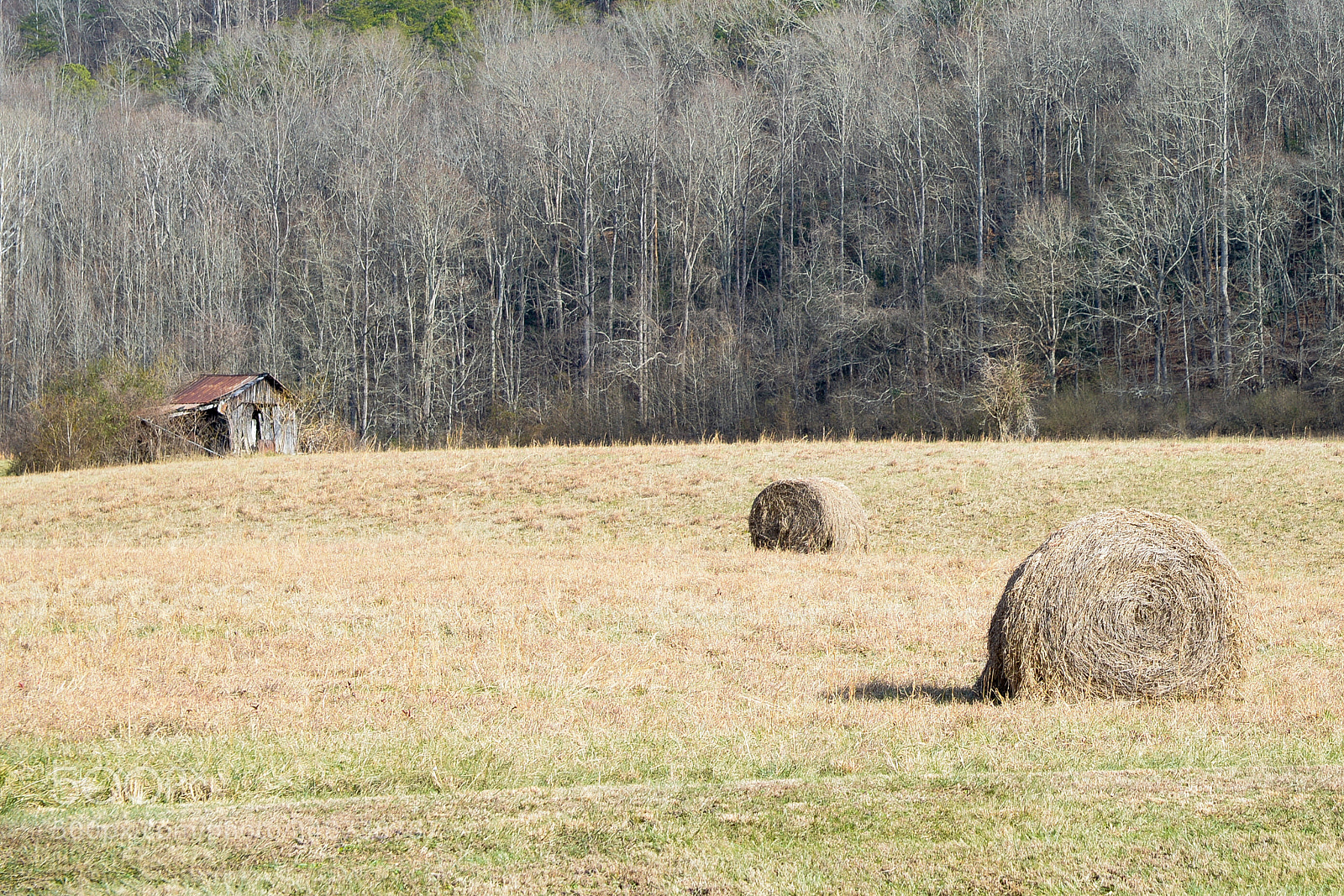 Nikon D600 sample photo. Gannonstudiosllc photography