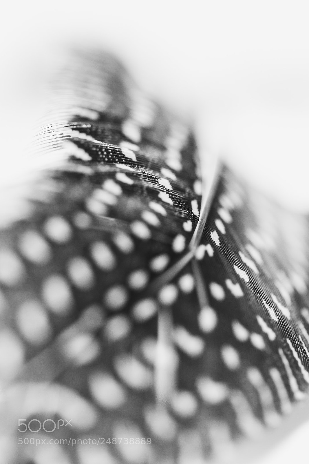 Canon EOS 7D sample photo. Dots photography