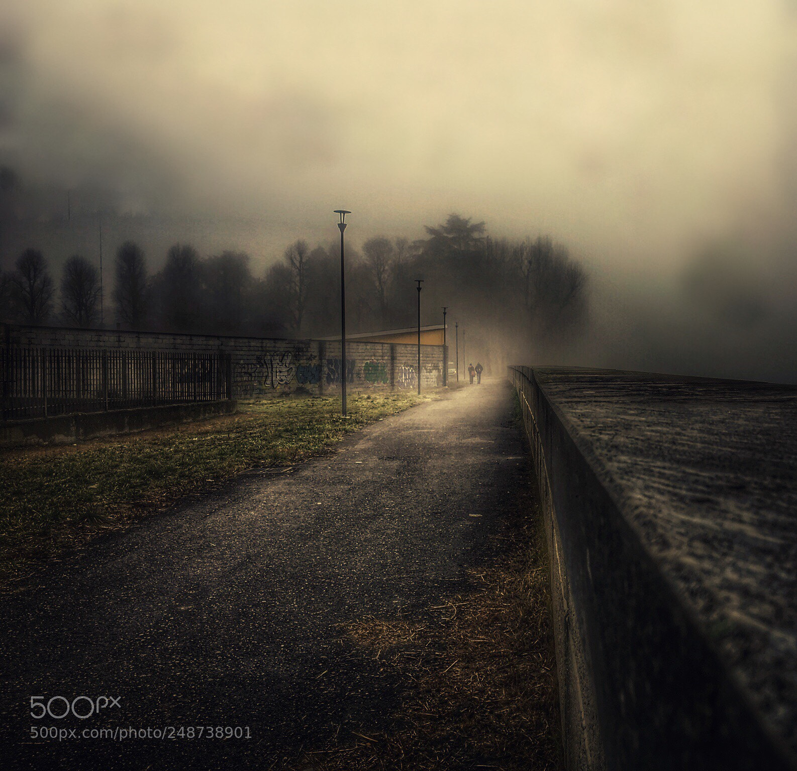 Apple iPhone 6s sample photo. Passeggiata nella nebbia photography