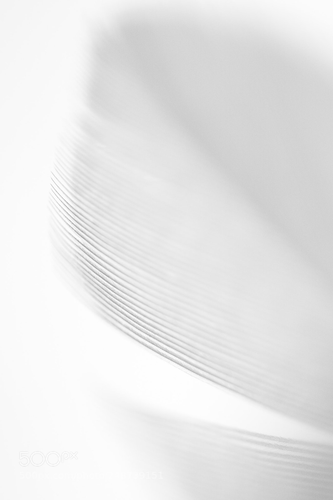 Canon EOS 7D sample photo. Light photography