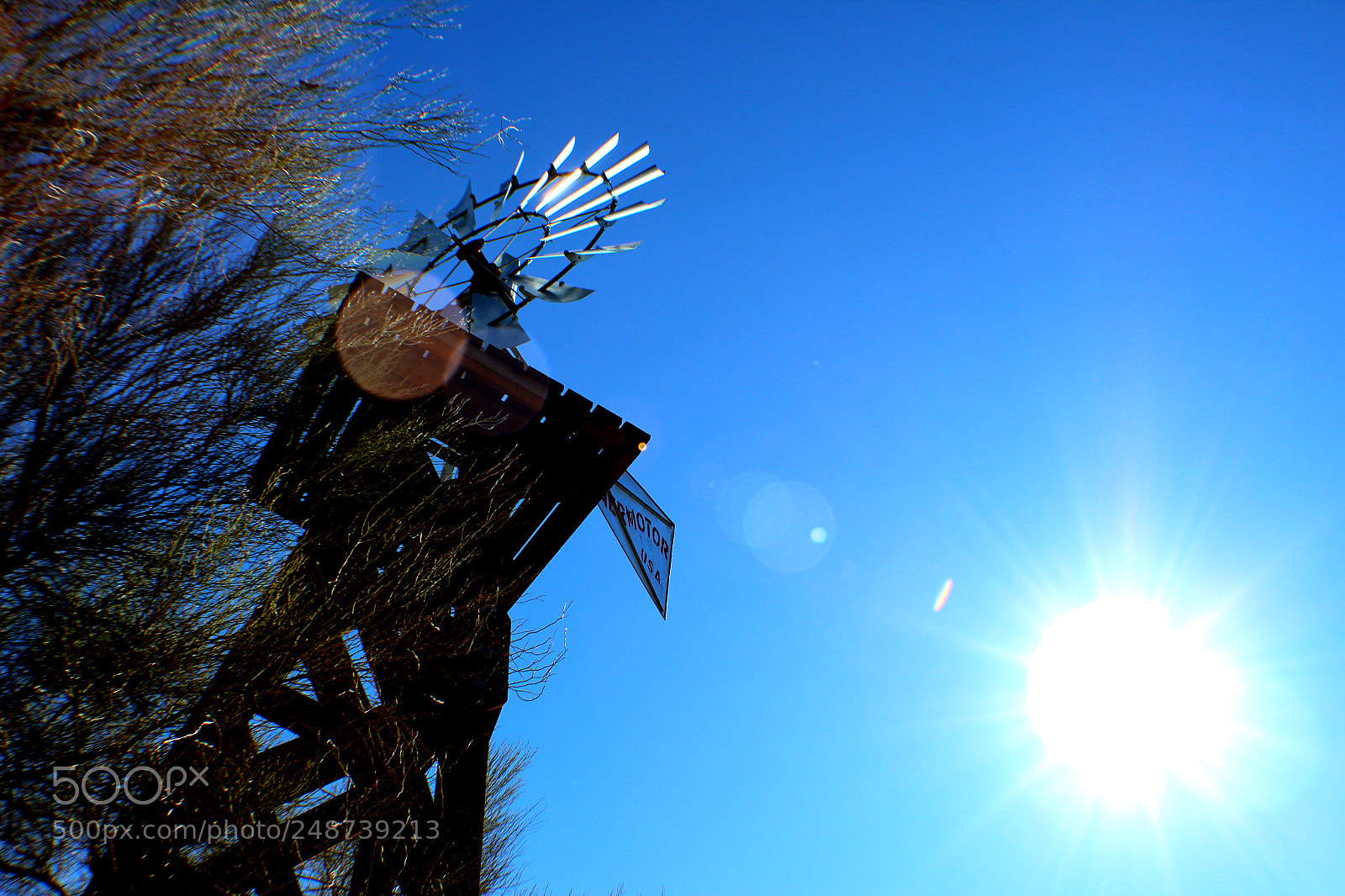 Canon EOS 600D (Rebel EOS T3i / EOS Kiss X5) sample photo. Img photography