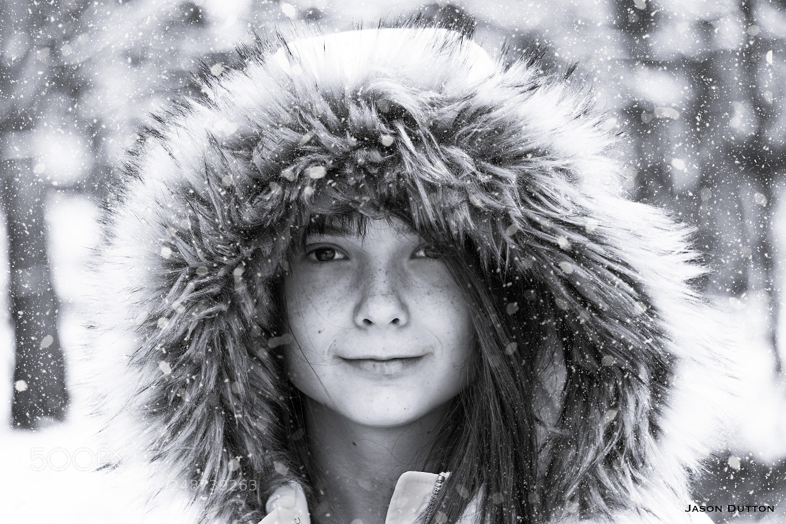 Sony a7R II sample photo. Snow day photography