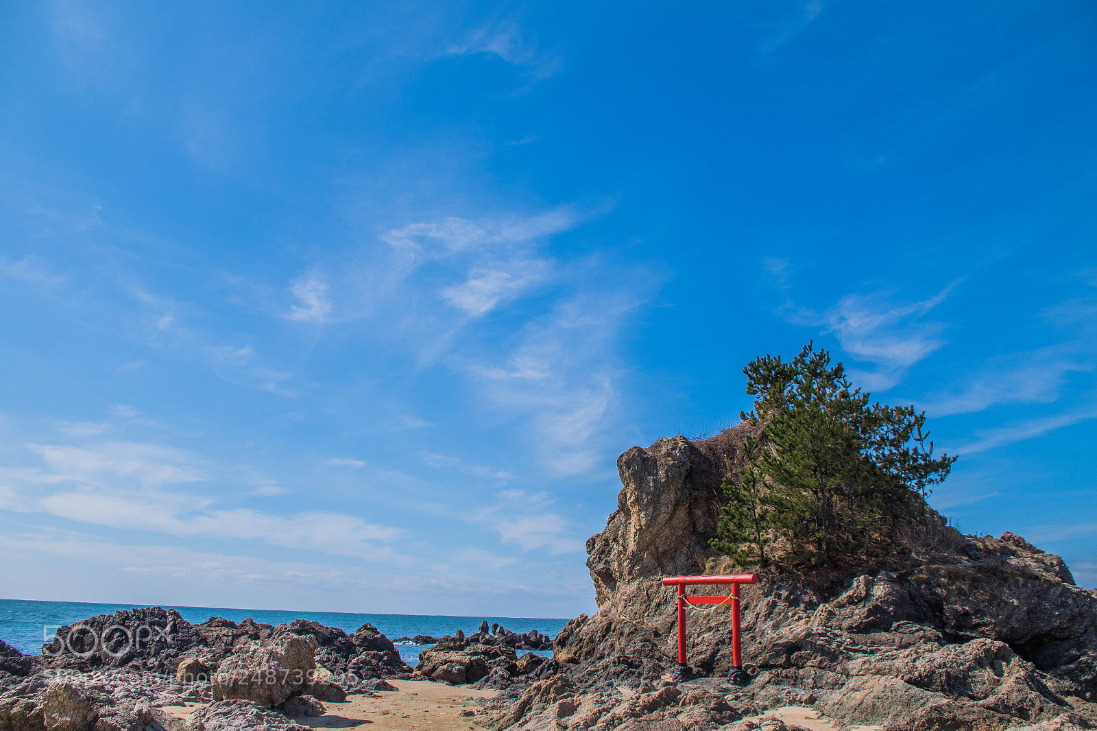 Pentax K-S2 sample photo. Untitled photography
