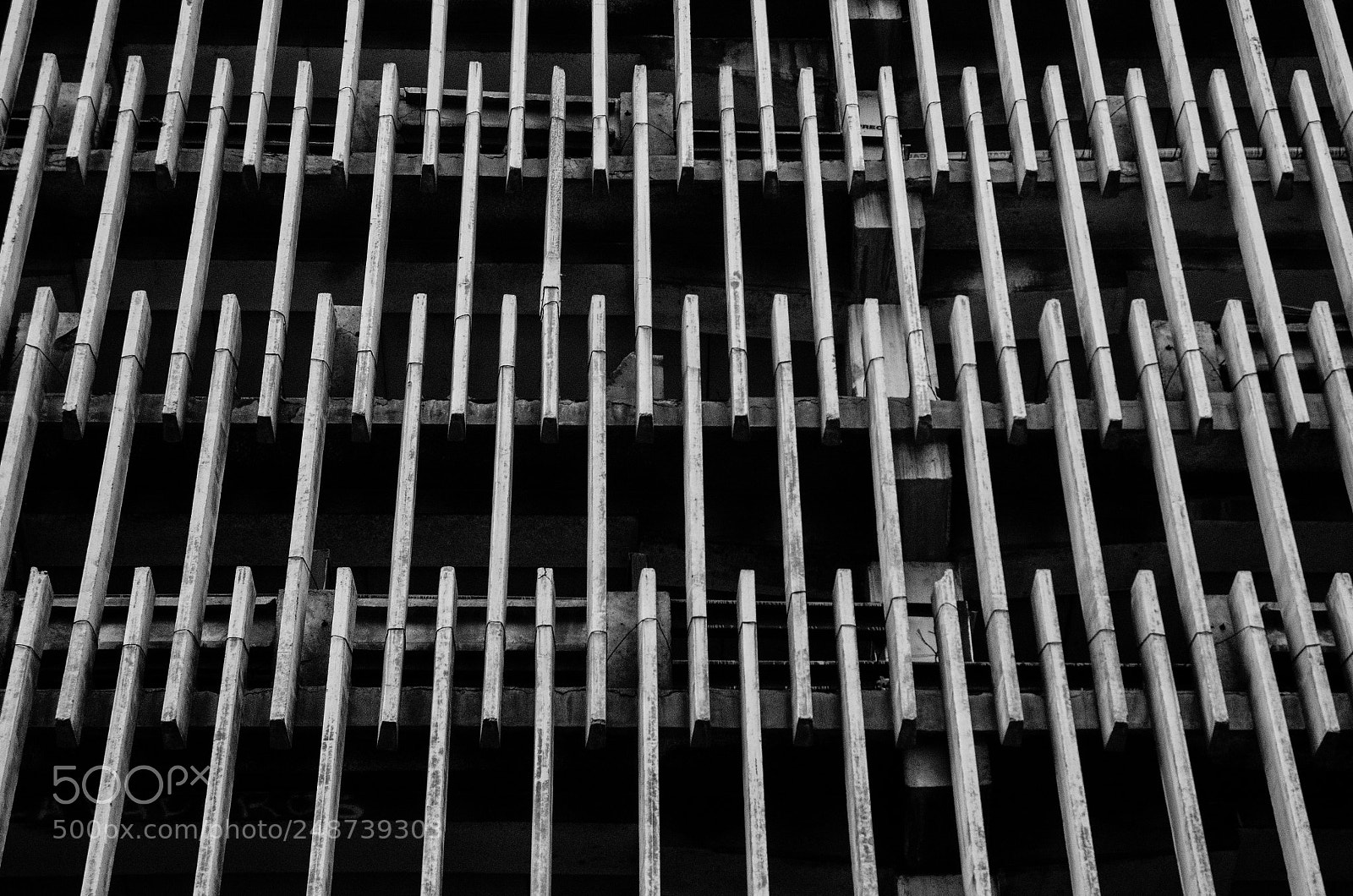 Nikon D5100 sample photo. Lines photography