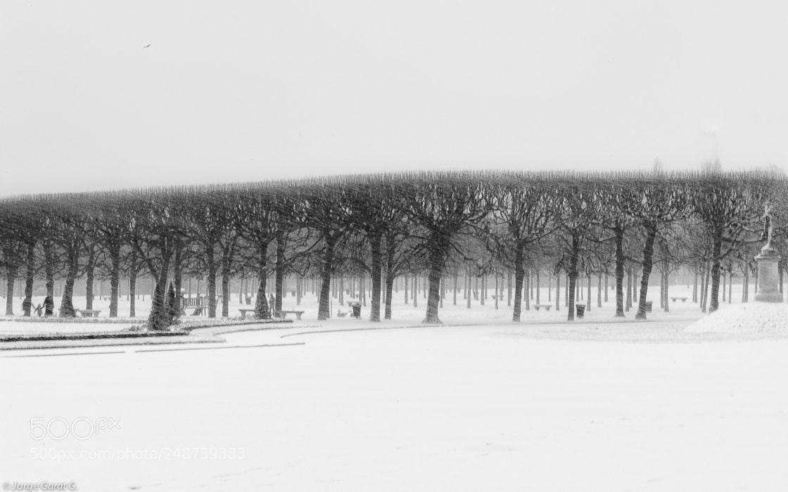 Nikon D700 sample photo. It is winter in photography