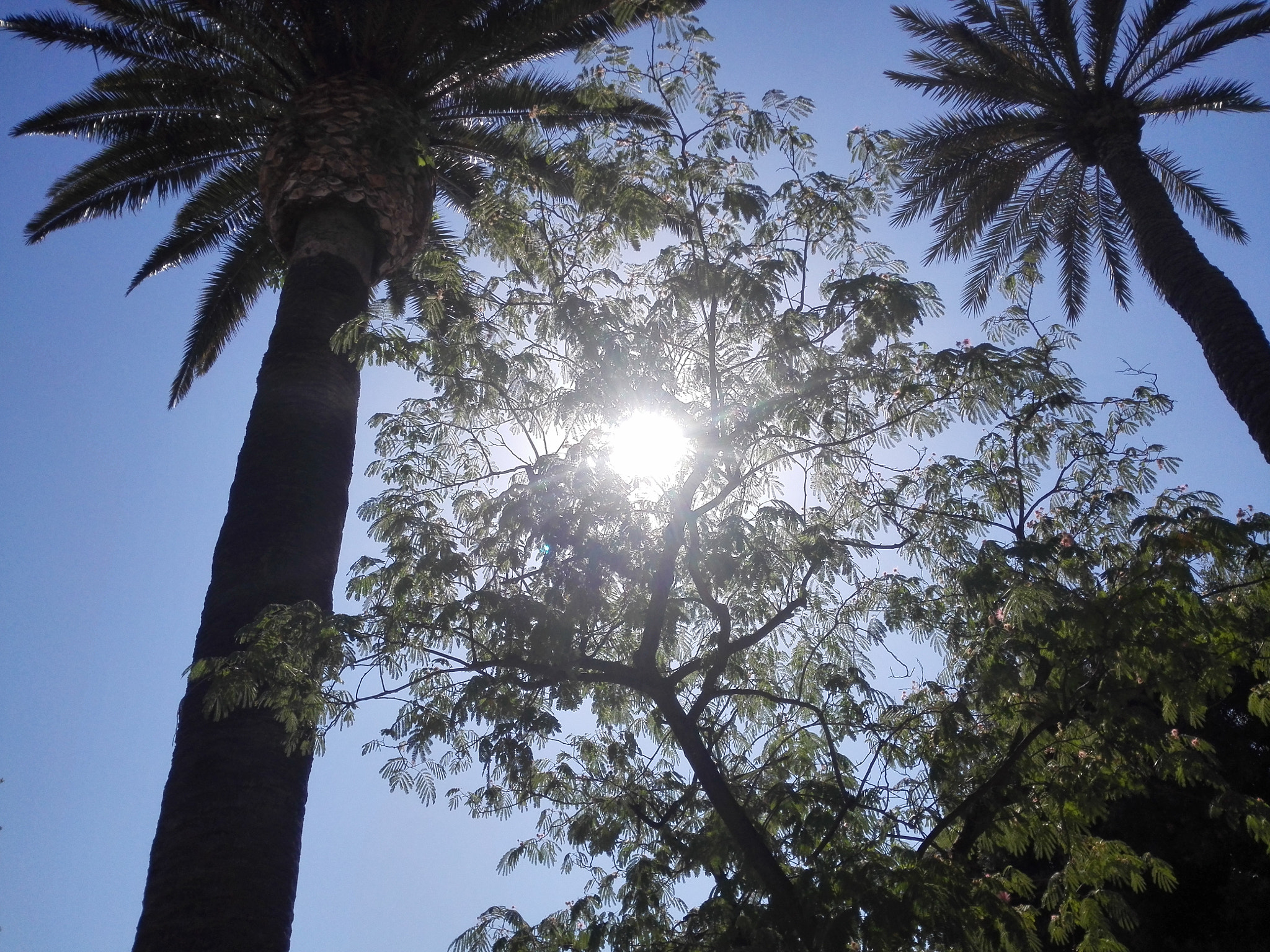HUAWEI P7-L10 sample photo. Italy- bari- sun -sunrise photography