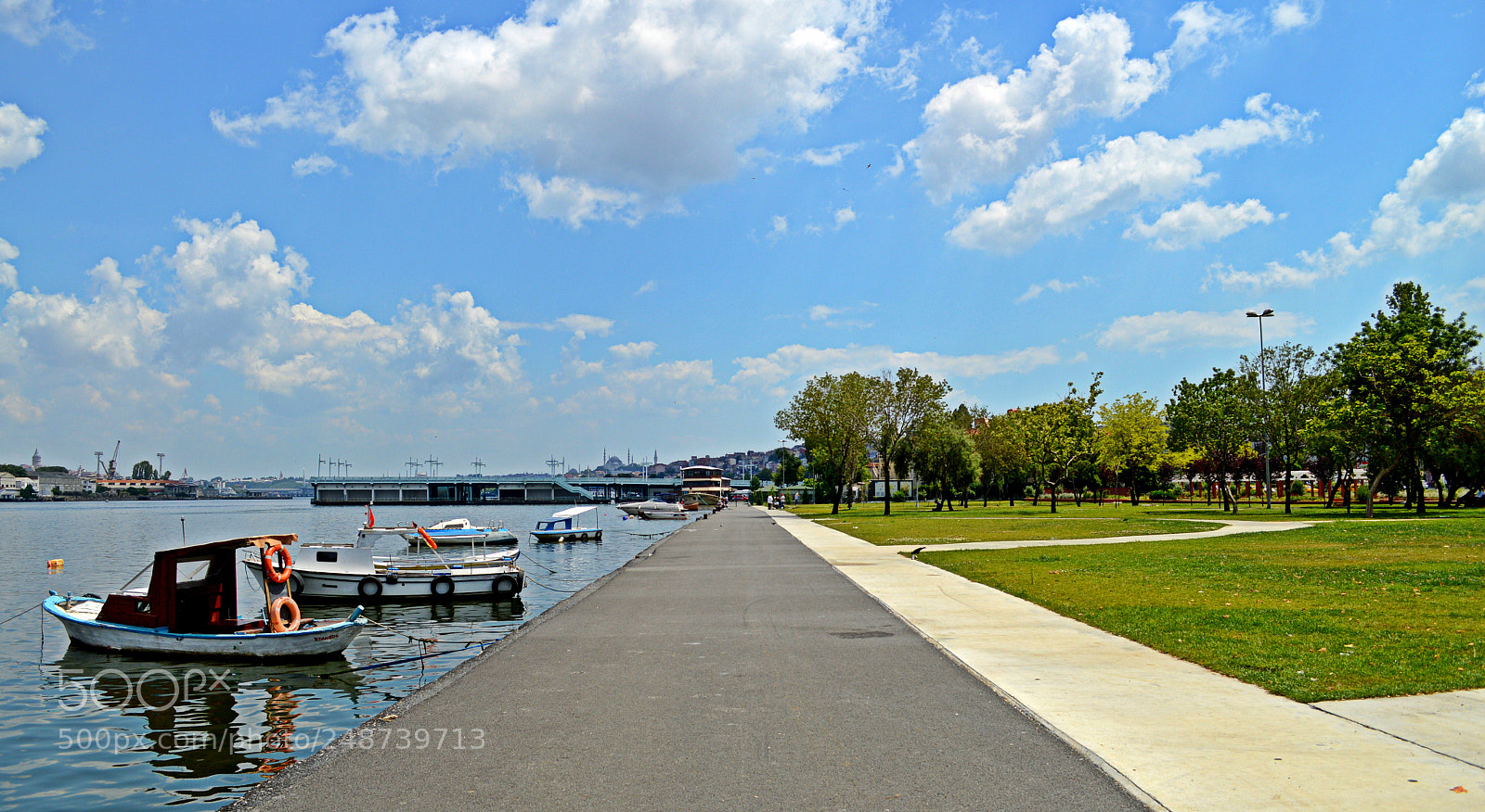 Nikon D3200 sample photo. Blue green life photography
