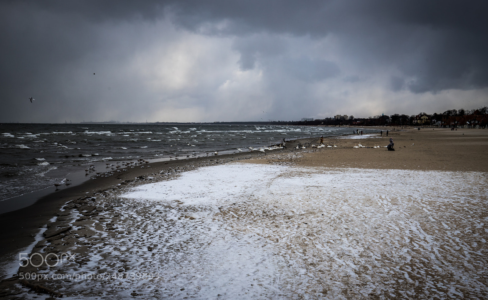 Canon EOS 6D Mark II sample photo. Frozen sea photography