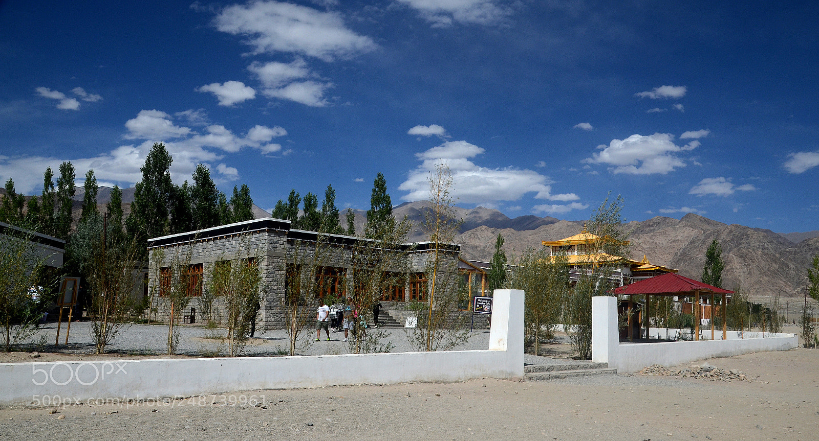 Nikon D5100 sample photo. Rancho,s cafe , leh photography