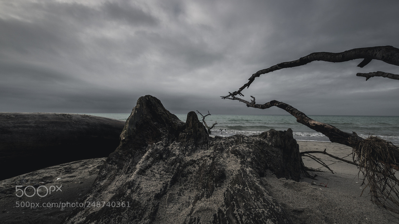 Canon EOS 750D (EOS Rebel T6i / EOS Kiss X8i) sample photo. Weststrand photography