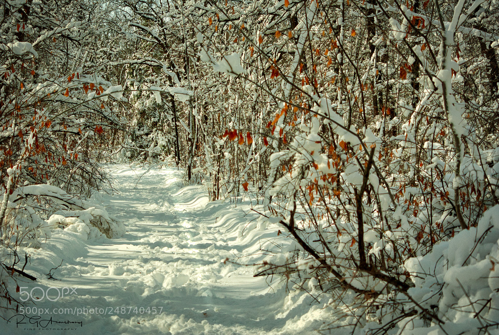 Pentax K200D sample photo. Snow enhanced trail photography